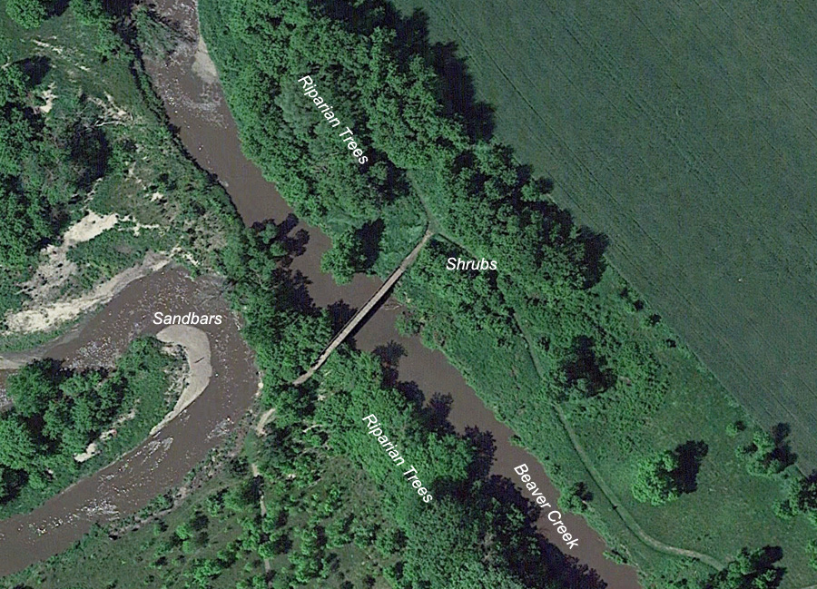 Beaver Creek Nature Area - Suspension Bridge Area