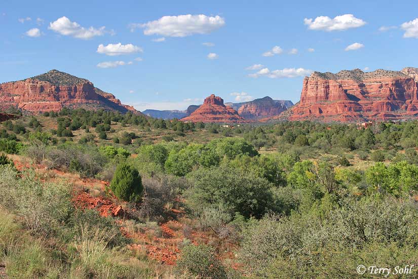 Sedona Landscape 1