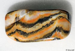 "Tiger Stripe" - Prairie Agate