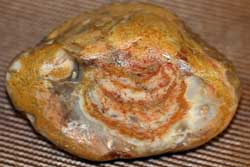 Prairie Agate - South Dakota Rockhound