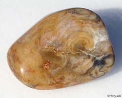 Little Brown Job - Prairie Agate