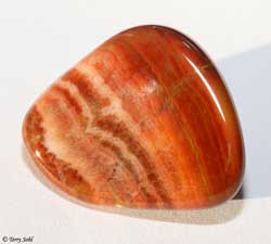 Prairie Agate 22 - South Dakota Rockhound