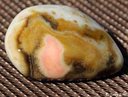 Prairie Agate - "Pink Eye"