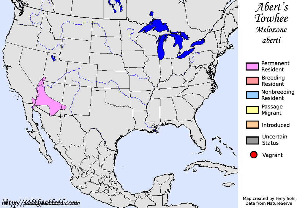Abert's Towhee - North American Range Map