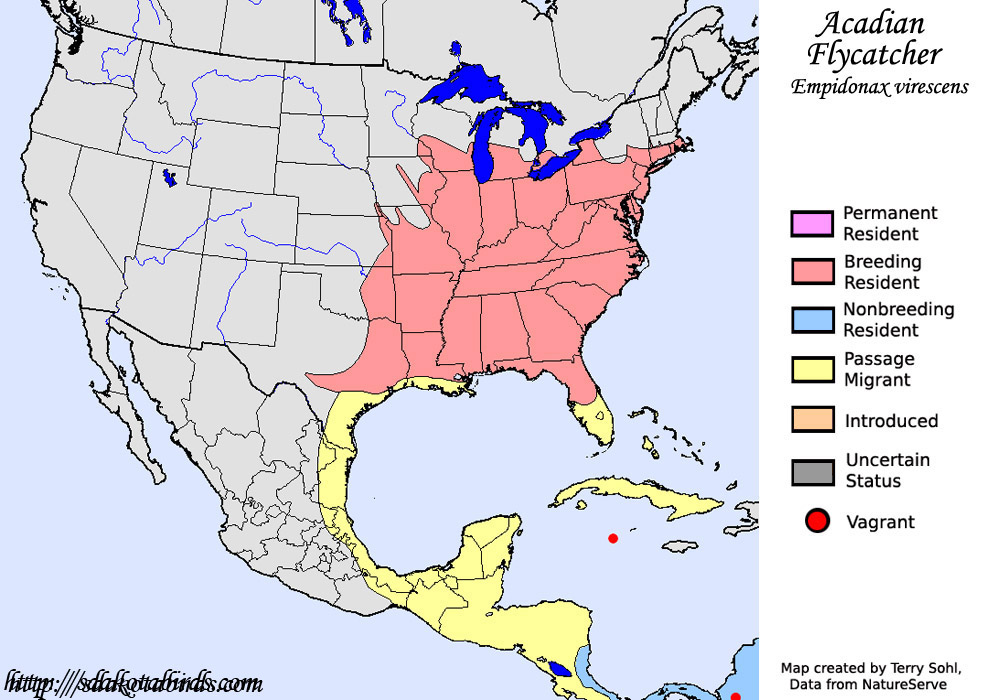 Acadian Flycatcher - Range Map