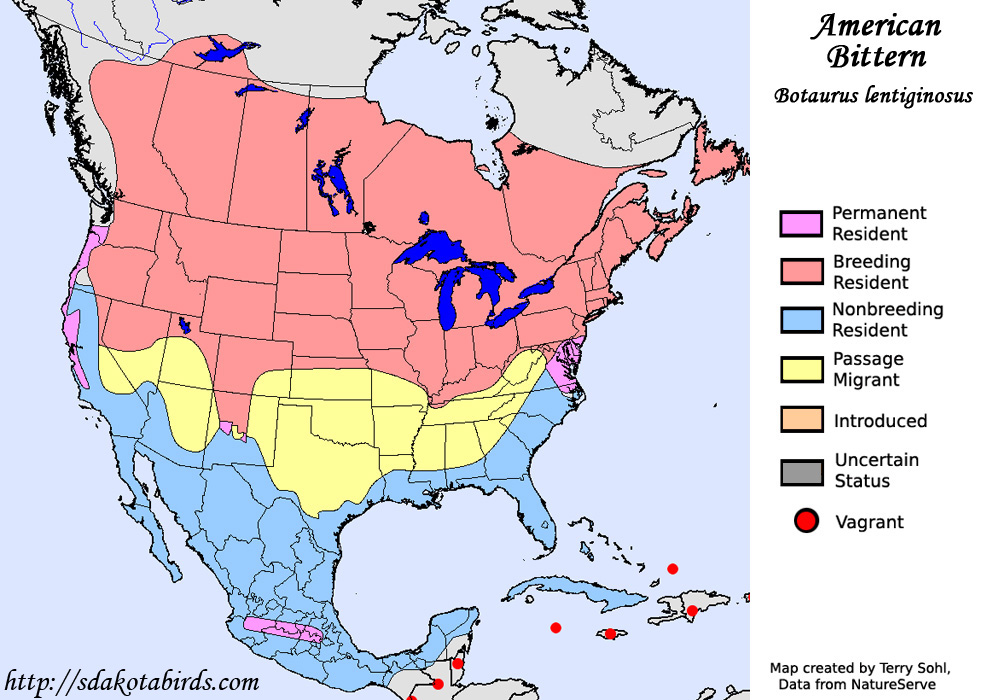 American Bittern - Range Map