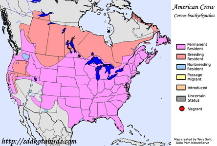 Range map for American Crow