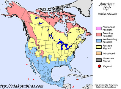 Range map for American Pipit