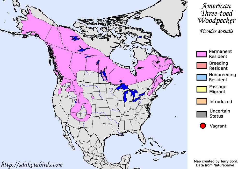 American Three-toed Woodpecker - Range Map