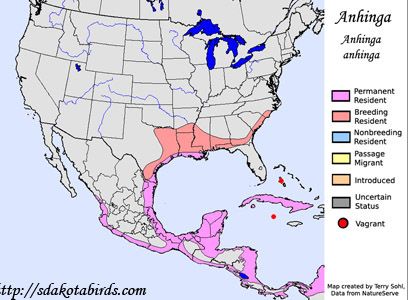 Anhinga - Range Map