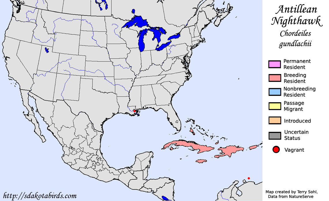 Antillean Nighthawk - North American Range Map