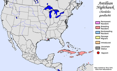 Antillean Nighthawk - Range Map