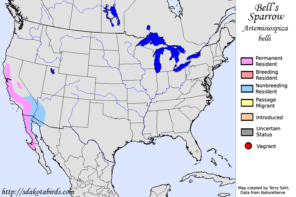 Bell's Sparrow - Range Map