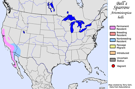 Bell's Sparrow range map
