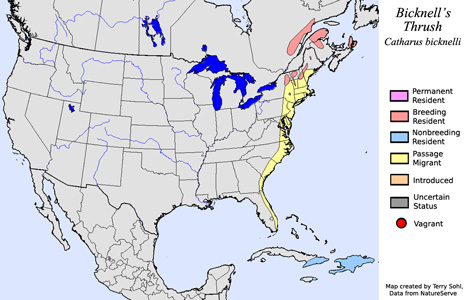 Bicknell's Thrush range map
