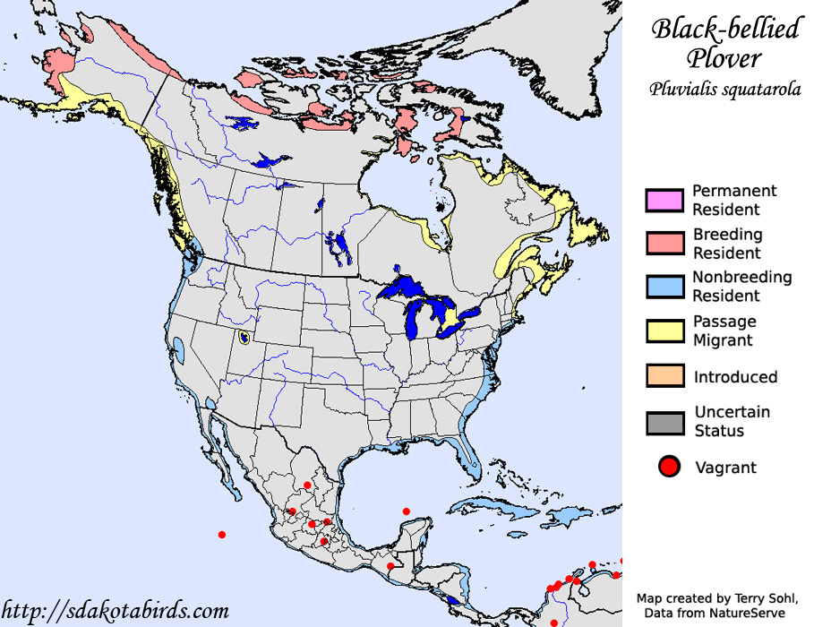 Range Map - Black-bellied Plover