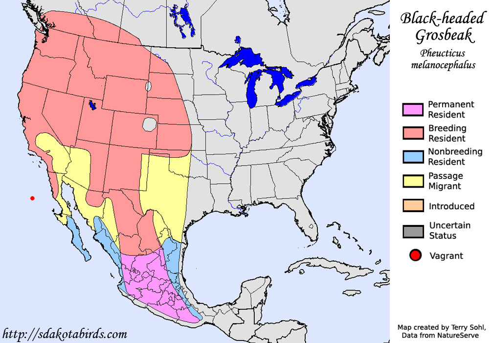 Black-headed Grosbeak - Range Map