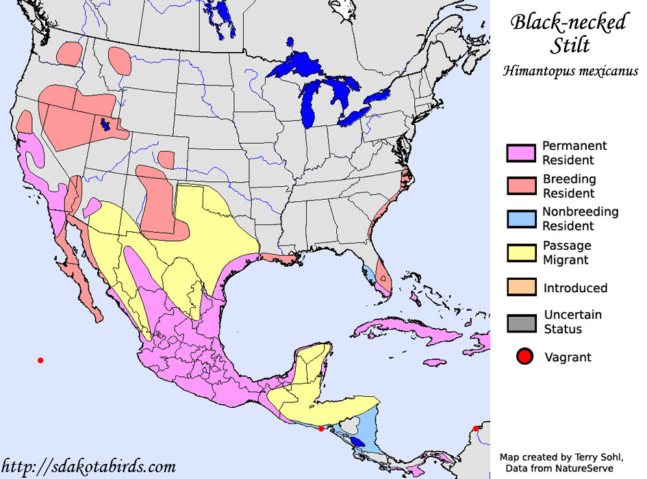 Range Map - Black-necked Stilt