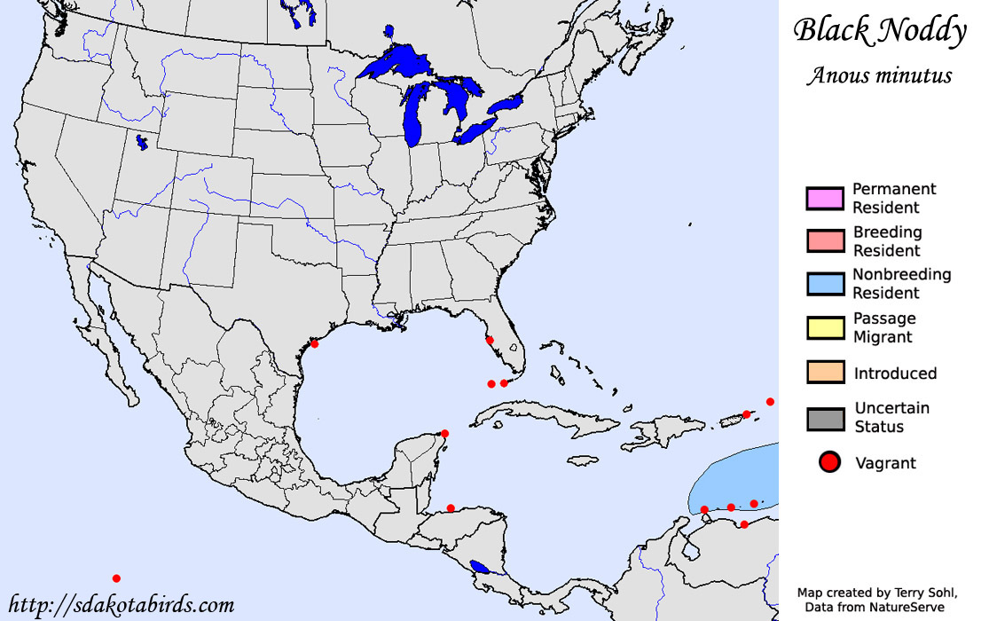 Black Noddy - North American Range Map