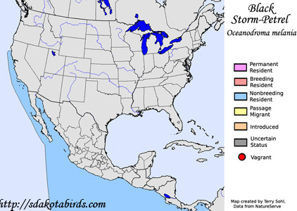 Black Storm-Petrel range map