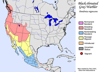 Black-throated Gray Warbler range map