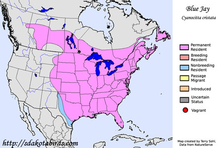 Blue Jay range map