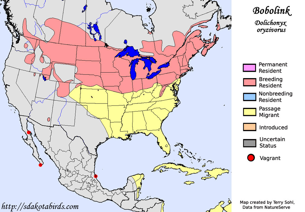 Bobolink - Species Range Map
