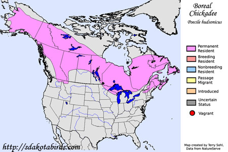 Boreal Chickadee range map