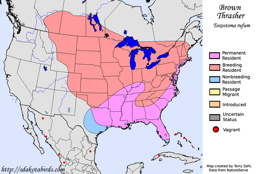 Brown Thrasher - Range Map