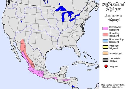 Buff-collared Nightjar range map
