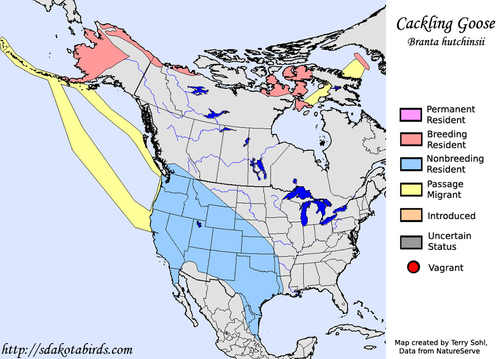 Cackling Goose - Range Map