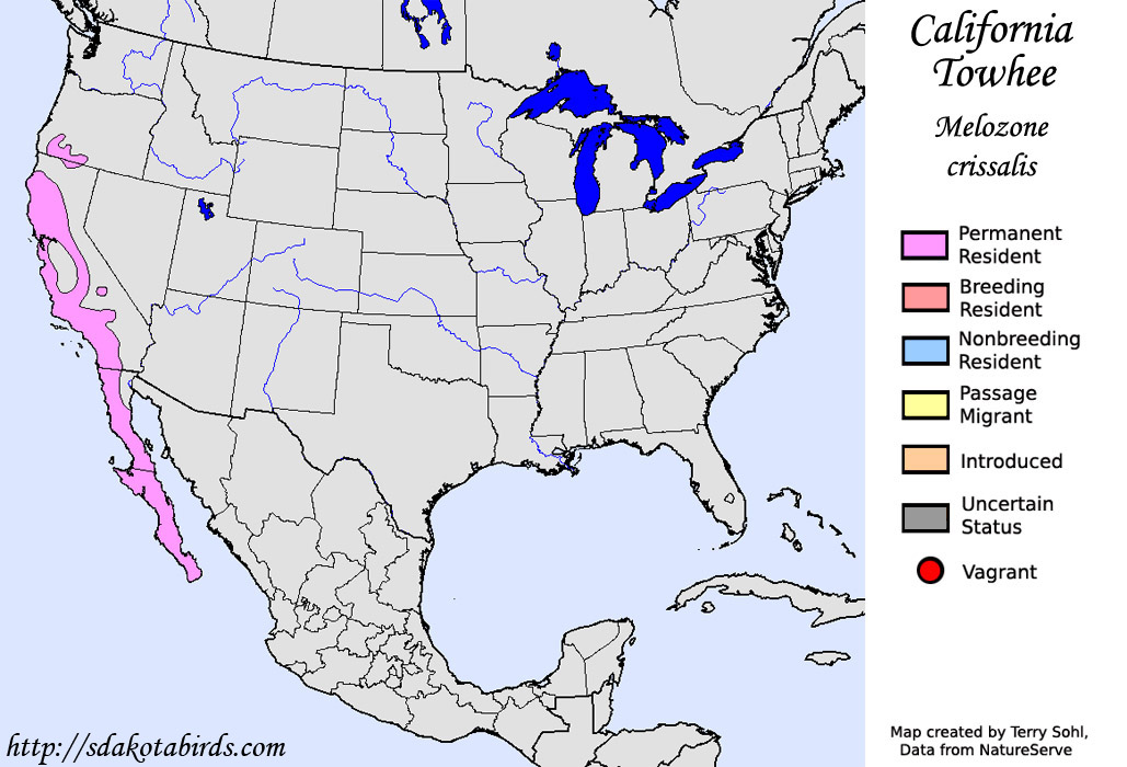 California Towhee - North American Range Map
