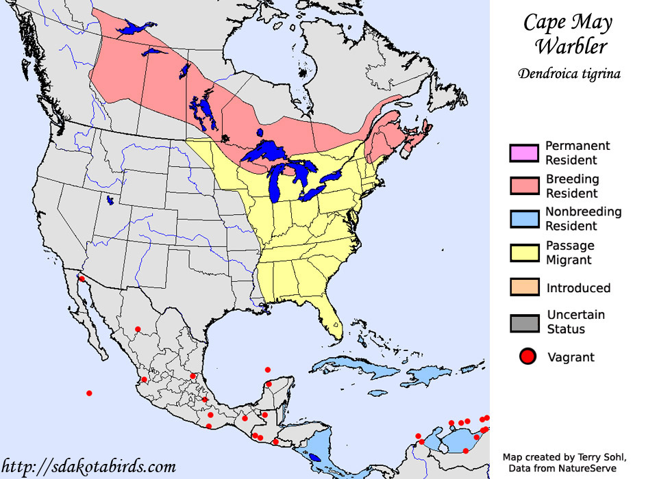Cape May Warbler - Range Map