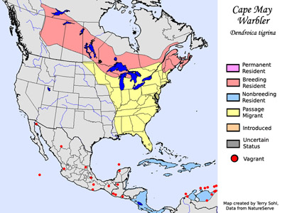 Cape May Warbler range map