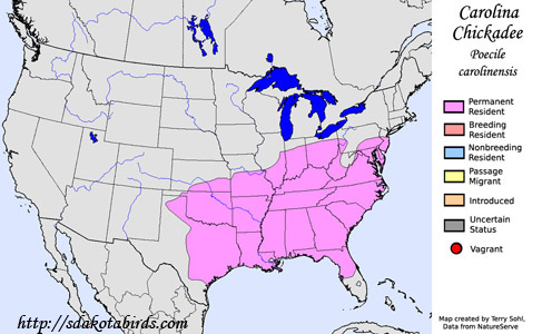 Carolina Chickadee range map