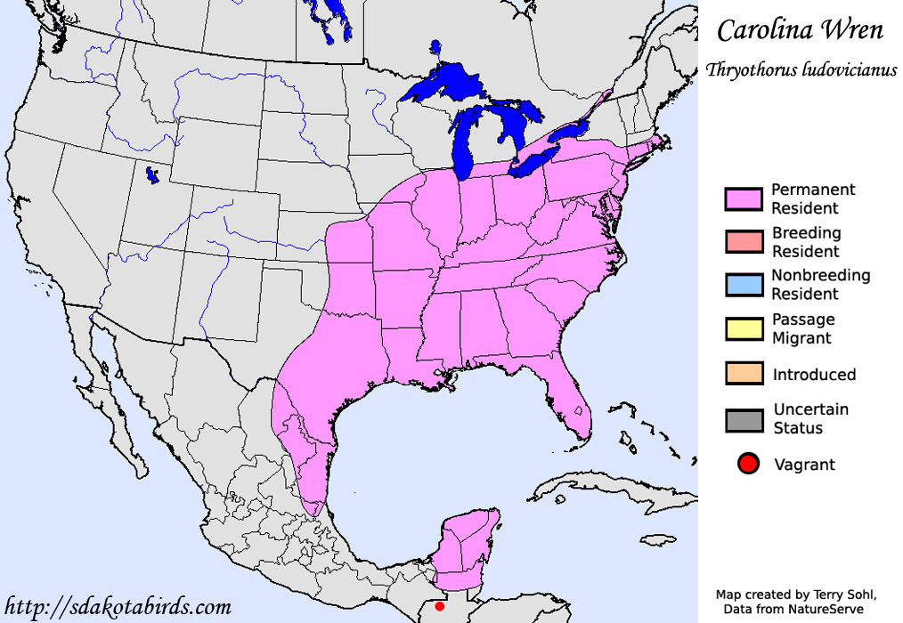 Carolina Wren - Range Map