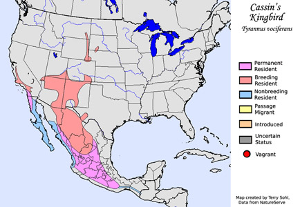 Cassin's Kingbird range map