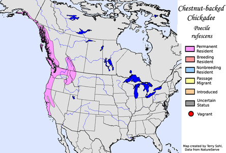 Chestnut-backed Chickadee range map