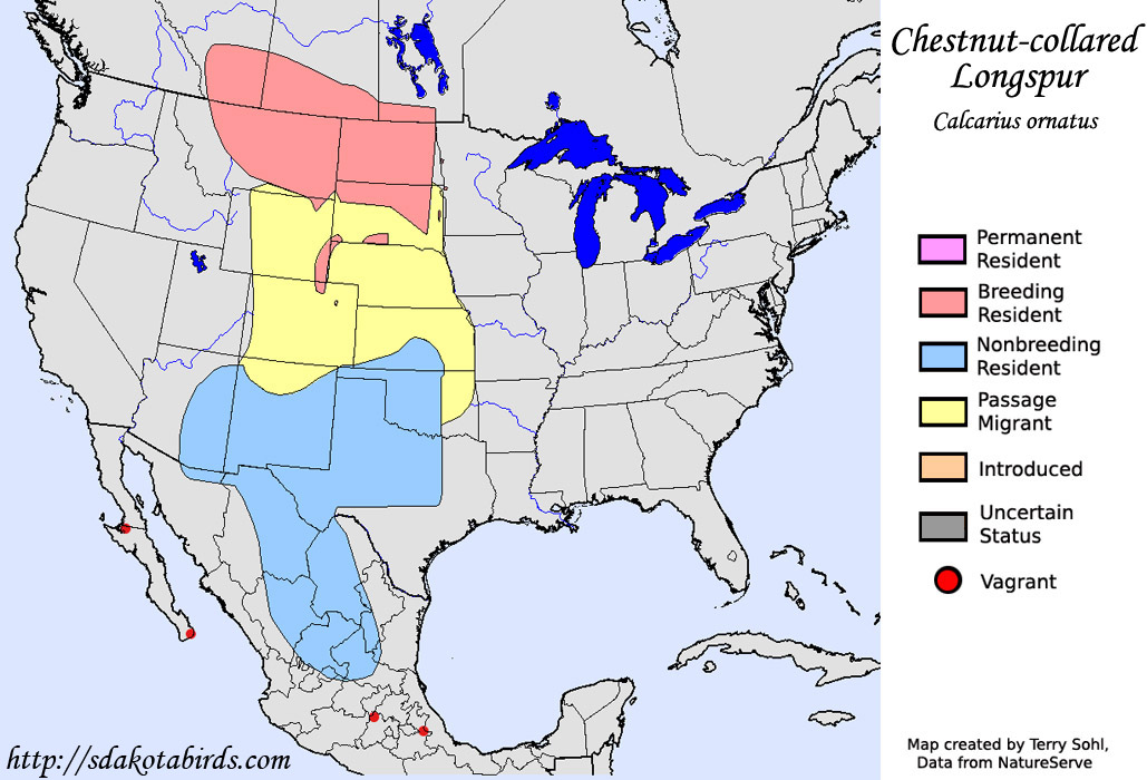Chestnut-collared Longspur - Range Map