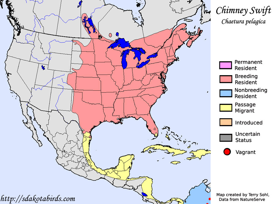 Chimney Swift - Range Map