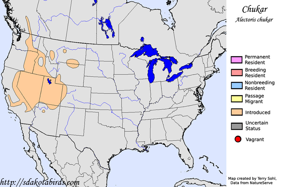 Chukar - Alectoris chukar - Range Map