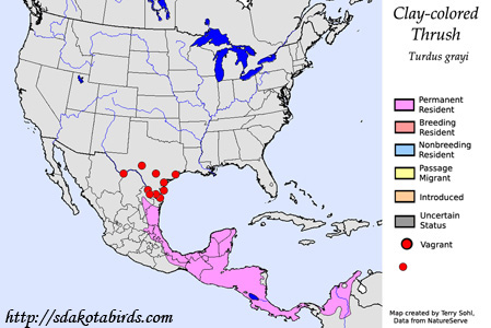 Clay-colored Thrush range map