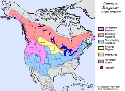 Common Merganser range map