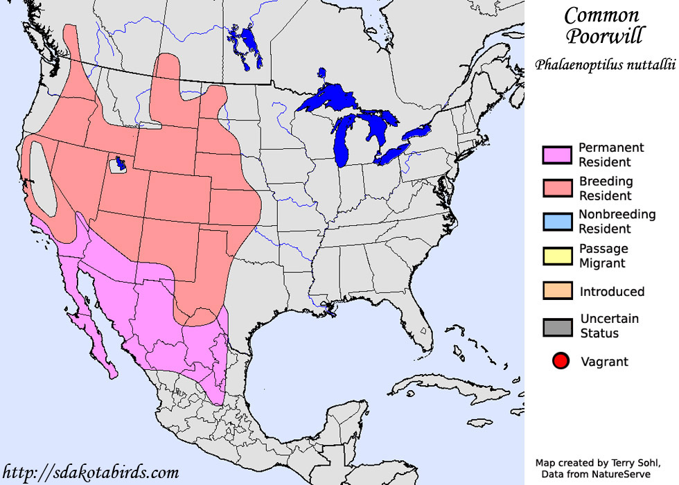 Commmon Poorwill - Range Map