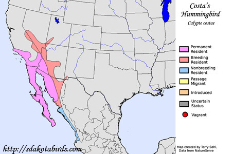 Costa's Hummingbird range map