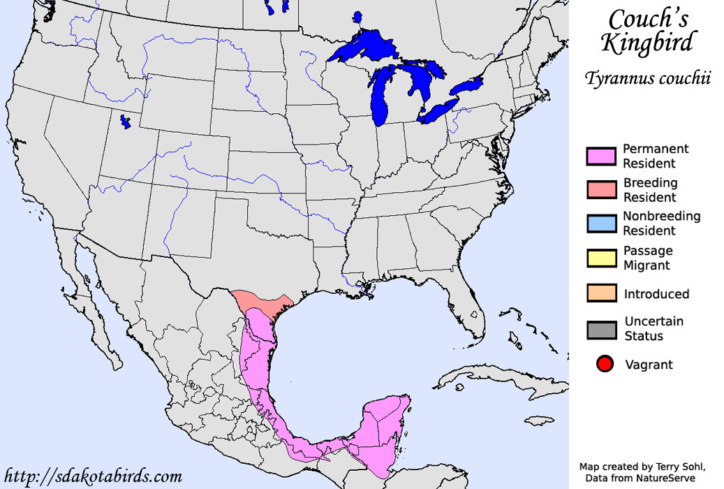 Couch's Kingbird - North American Range Map