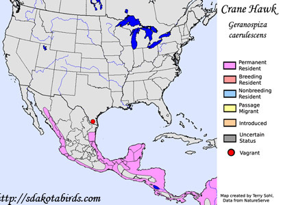 Crane Hawk range map