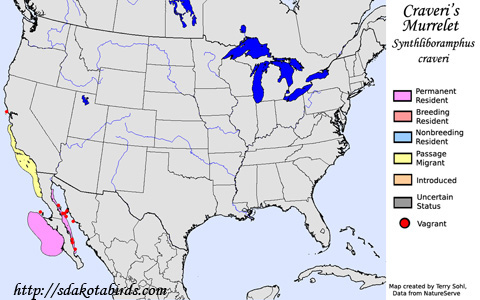 Craveri's Murrelet range map