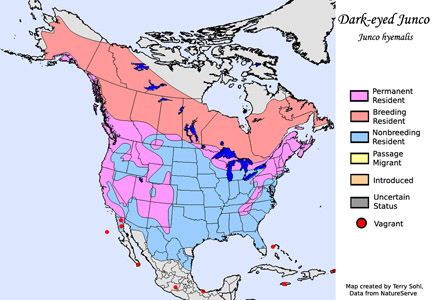 Dark-eyed Junco - North American Range Map