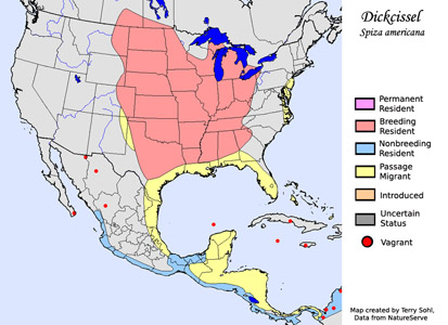 Dickcissel - Range Map